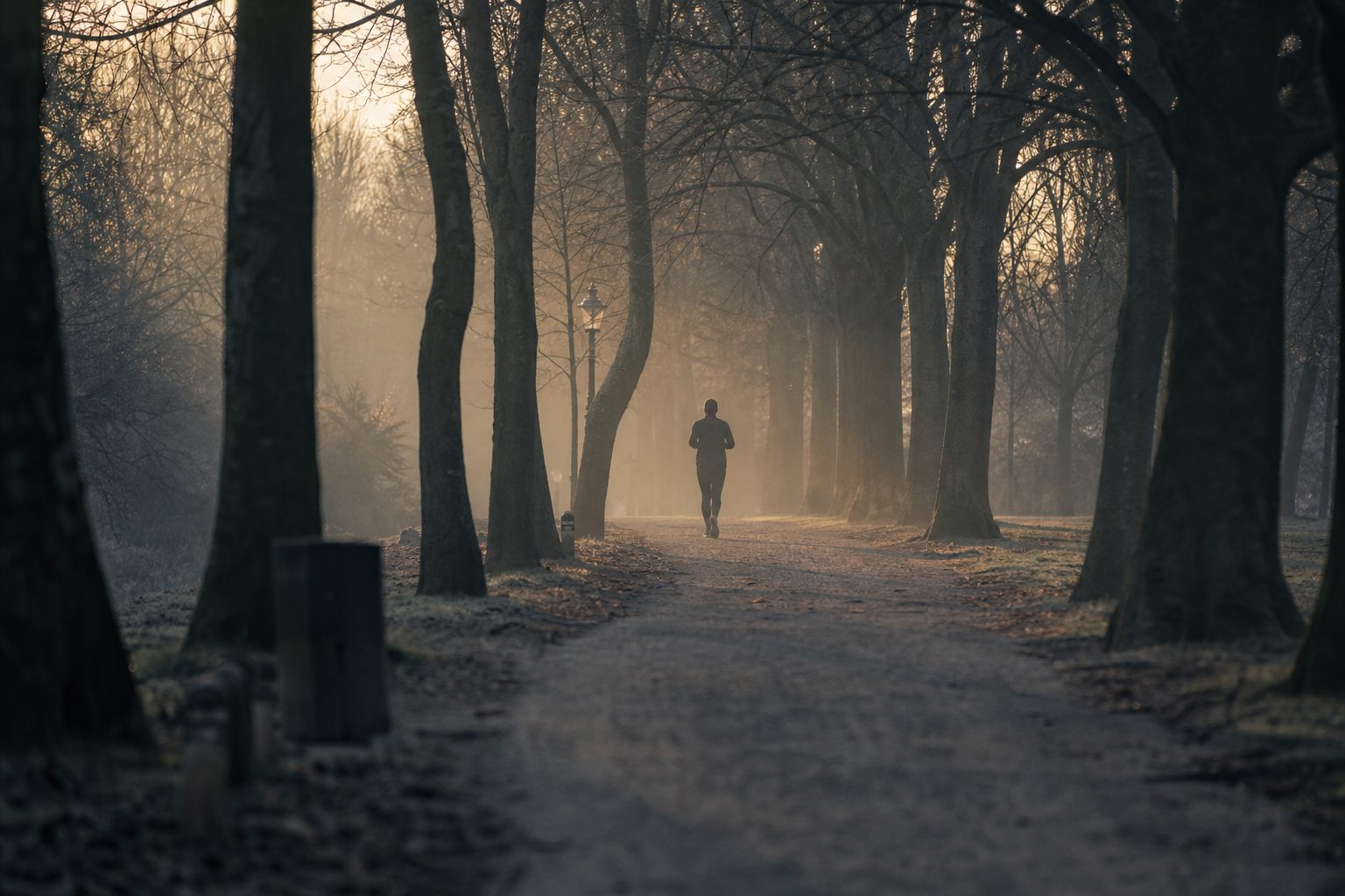 A lone runner seen from behind on a misty, tree-lined park path at sunrise, next to an old-fashioned lamp post